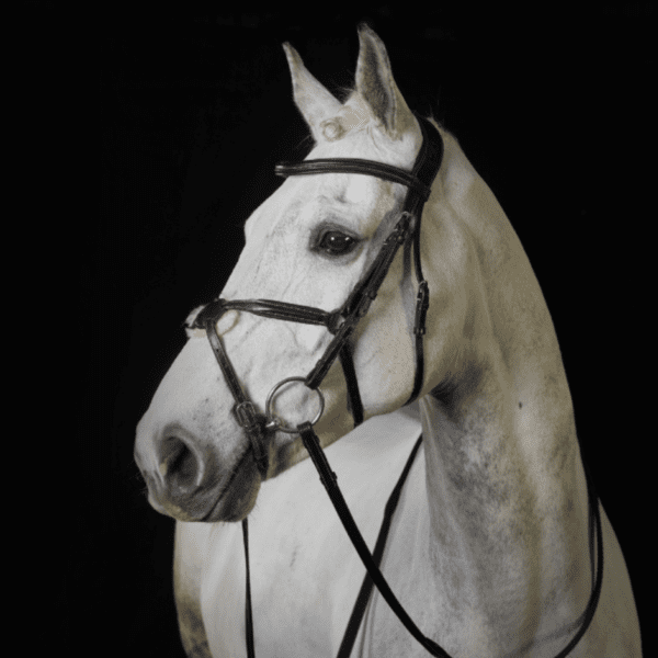 GFS PS Grackle Bridle