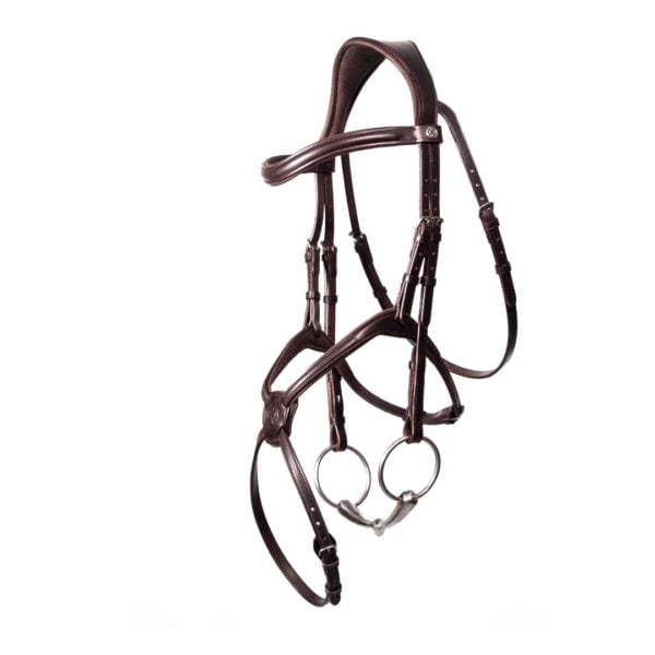 Henry James Grackle Bridle - Image 2