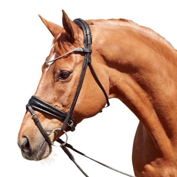 Finesse Cassidy Snaffle Bridle - Image 2