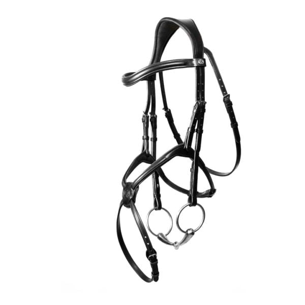 Henry James Grackle Bridle