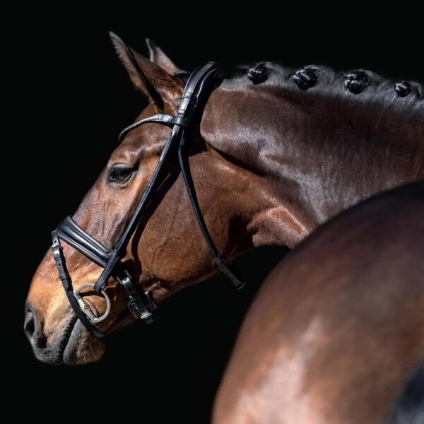 Finesse Cassidy Snaffle Bridle - Image 3