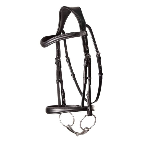 Henry James Cavesson Bridle