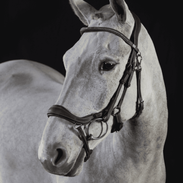 GFS Premier Prosperity Anatomical Bridle