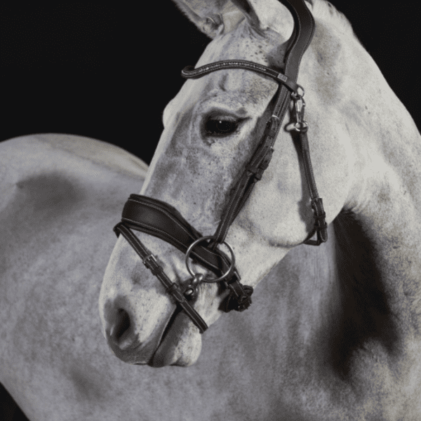 GFS Premier Prime Flash Bridle