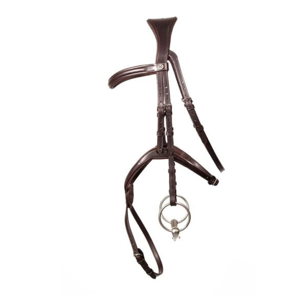 Henry James Grackle Bridle - Image 4