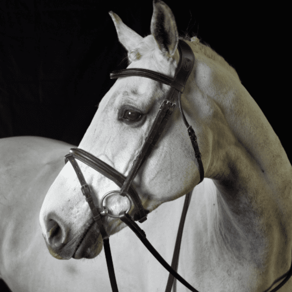 GFS PS Flash Bridle