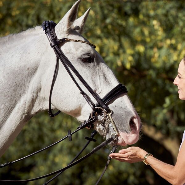 Finesse Cassidy Double Bridle - Image 2