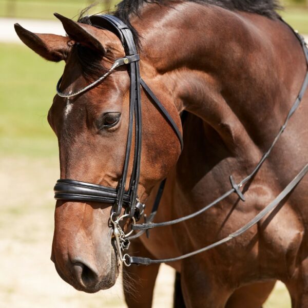 Finesse Cayenne Double Bridle