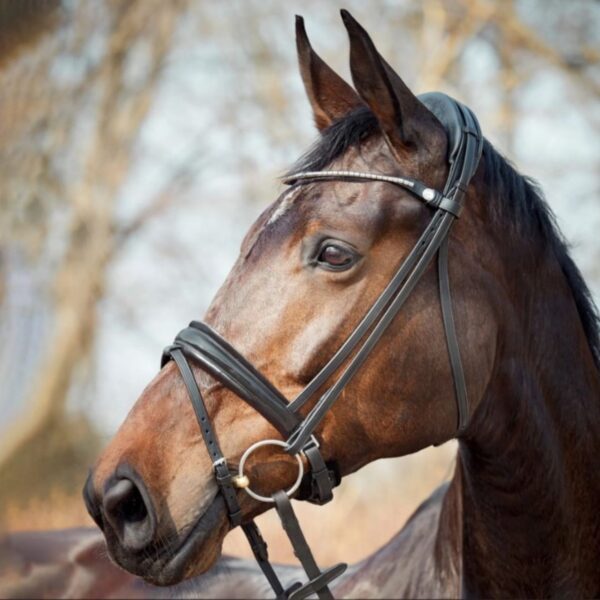 Finesse Cayenne Snaffle Bridle