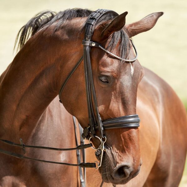 Finesse Cayenne Double Bridle - Image 3