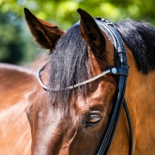 Finesse Cassidy Double Bridle - Image 3