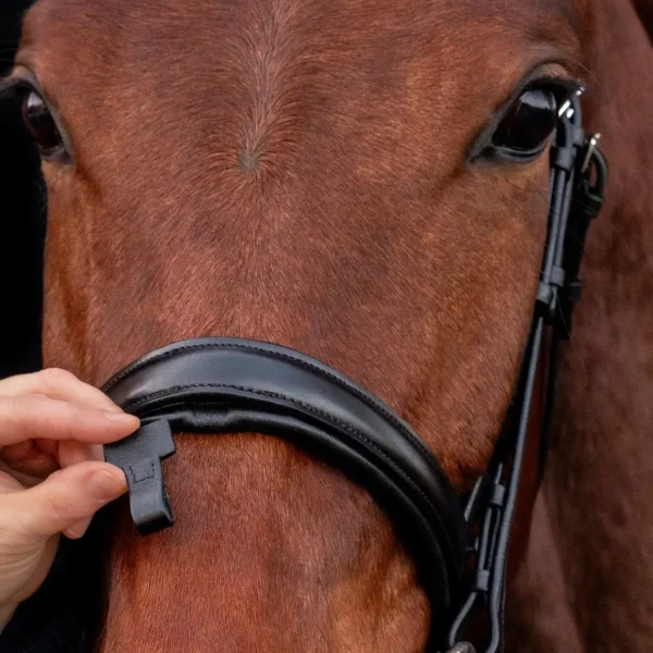 Bridle SP SP Malaga