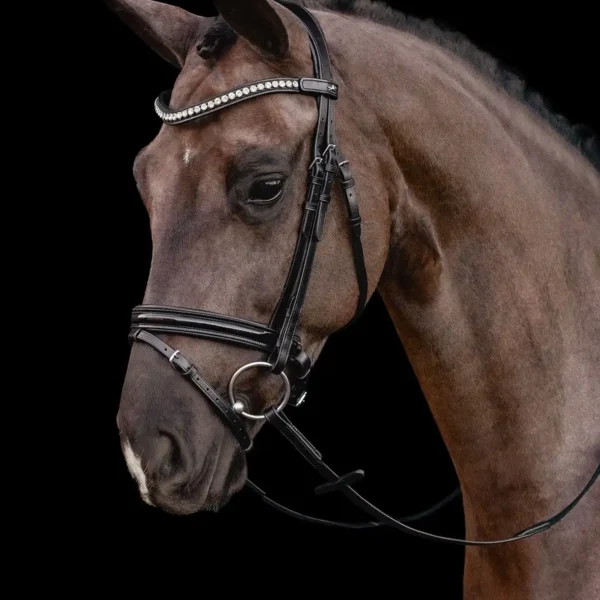 Bridle SP SP Palermo