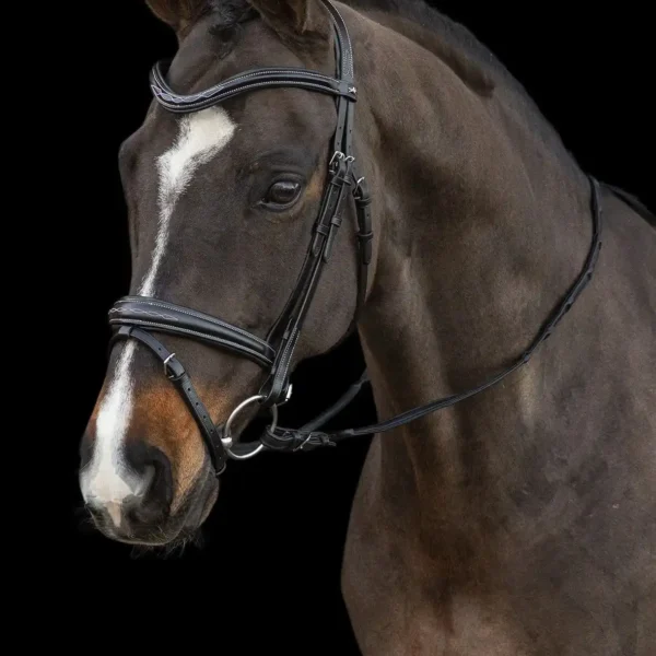 Bridle SP Monza F