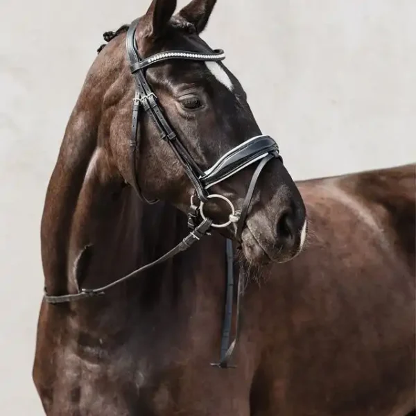Bridle Malibu