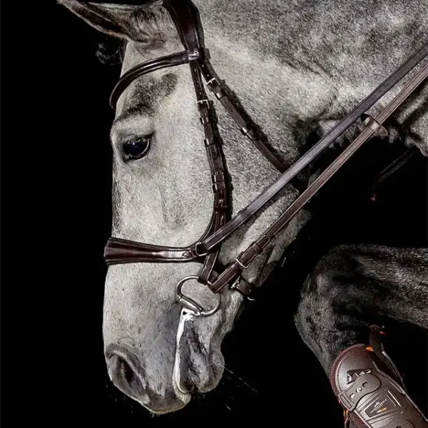 Bridle Equitus Theta