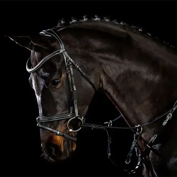 Bridle Tokyo F Select