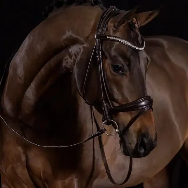 Bridle Westminster