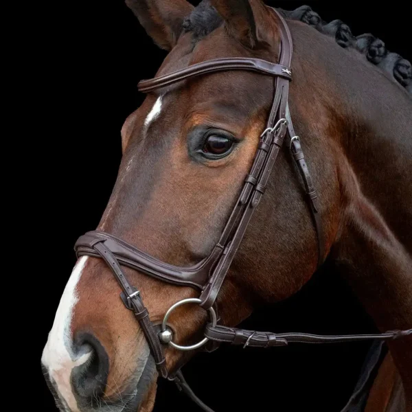 Bridle Ancona Select