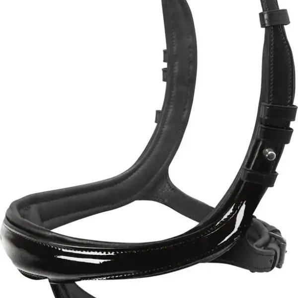 Noseband Equitus Beta