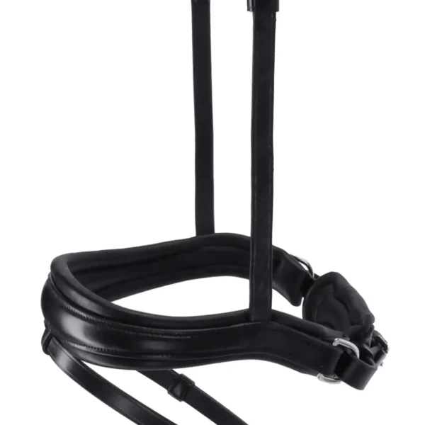 Noseband SP Charleston
