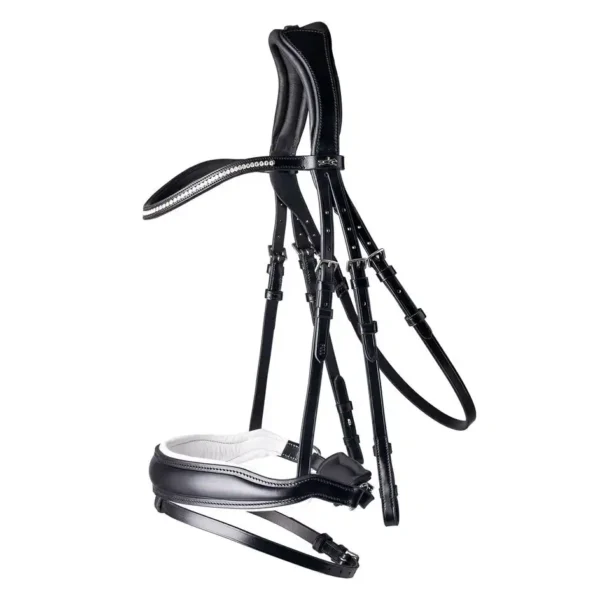 Bridle Stanford