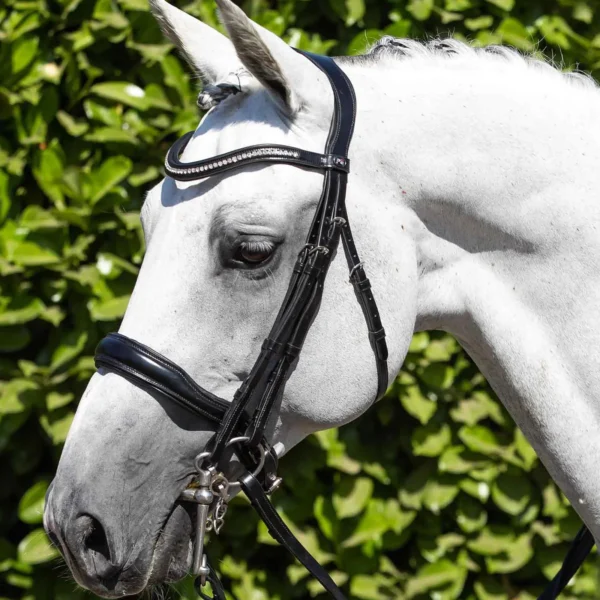 Abriano Anatomic Double Bridle Black
