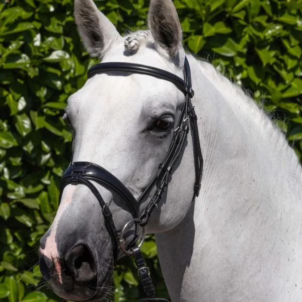 Artana Snaffle Bridle Black/Brown