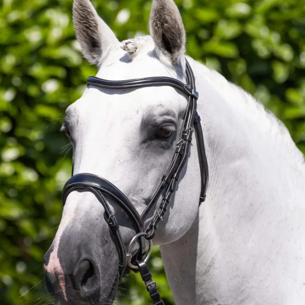 Cassano Snaffle Bridle Black/Brown