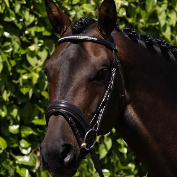 Castello Anatomical Bridle Black/Brown