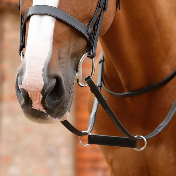 Esperia Irish Martingale Black/Brown