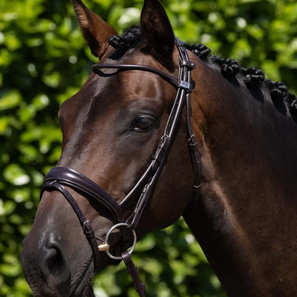 Finetti Rolled Leather Snaffle Bridle Black/Brown