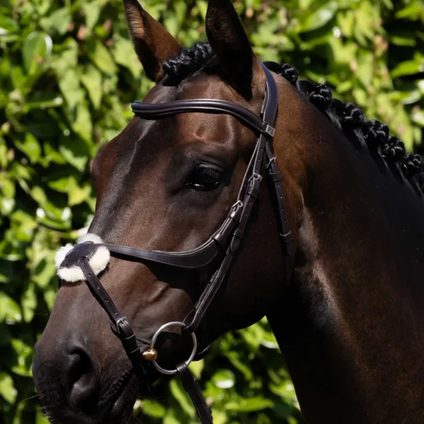 Glorioso Grackle Bridle Black/Brown