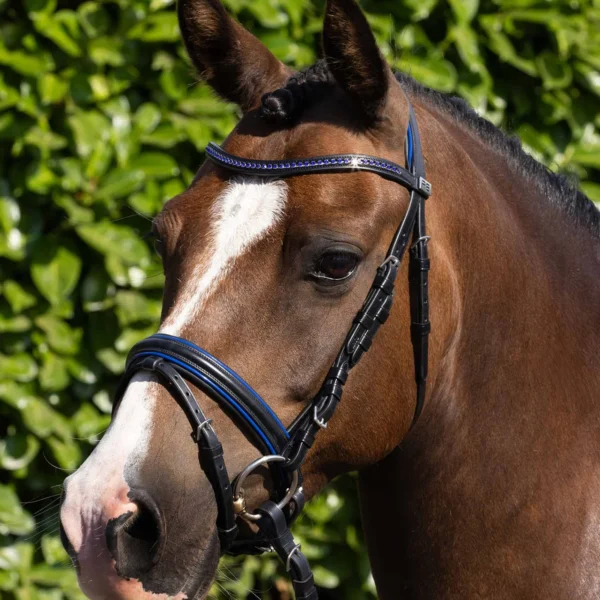 Mineo Pony Snaffle Bridle Black
