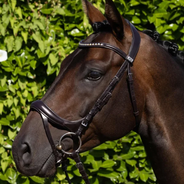Palazzo Anatomical Bridle Black/Brown