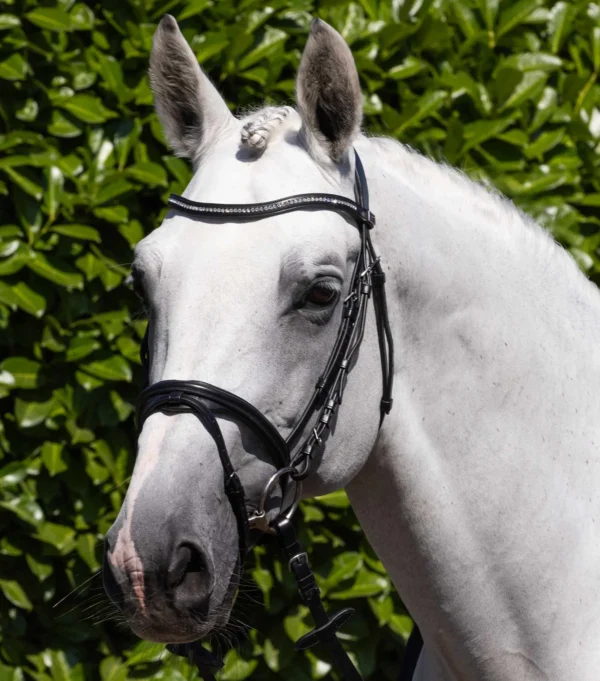 Rivere Snaffle Bridle Black/Brown - Image 2