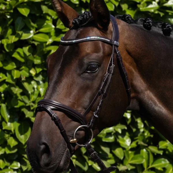 Rivere Snaffle Bridle Black/Brown