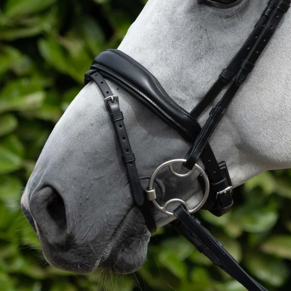 Rizzo Anatomic Flash Noseband Black/Brown