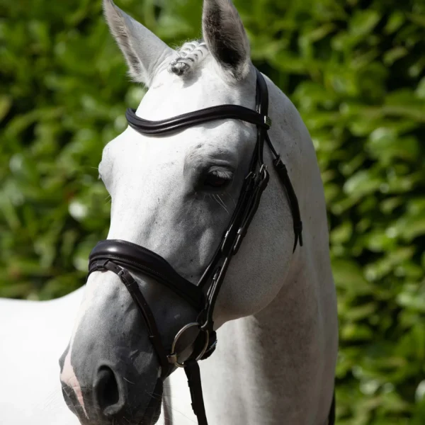 Rizzo Anatomic Snaffle Bridle with Flash Black/Brown
