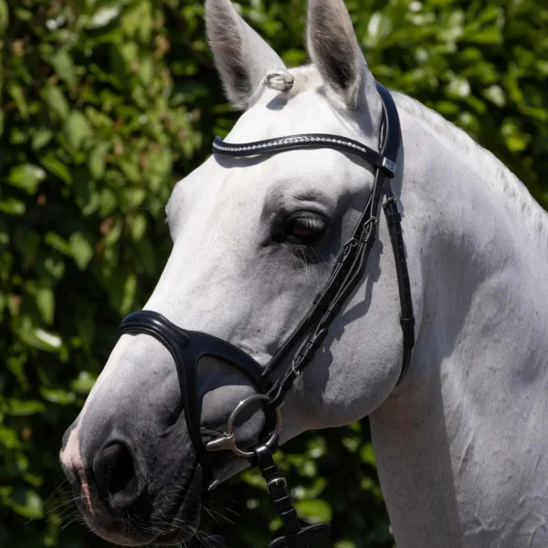 San Paolo Anatomical Bridle Black/Brown