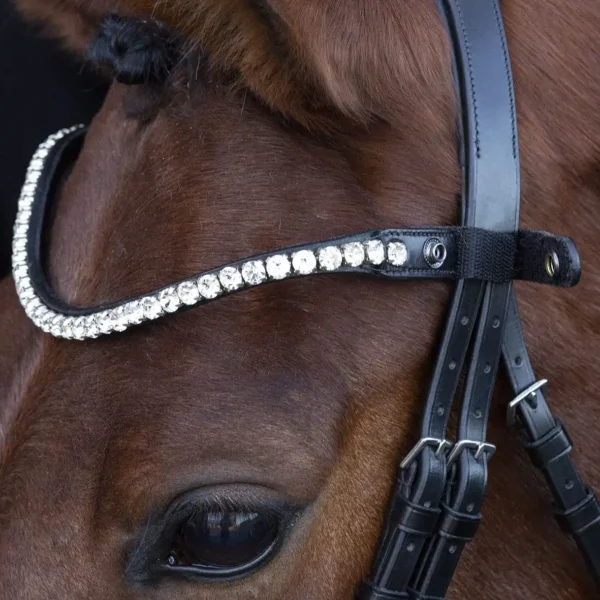 Browband SP Siena