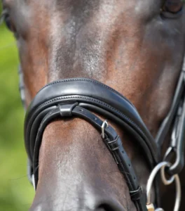Stellazio Anatomic Snaffle Bridle with Flash - Image 8
