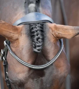 Stellazio Anatomic Snaffle Bridle with Flash - Image 9