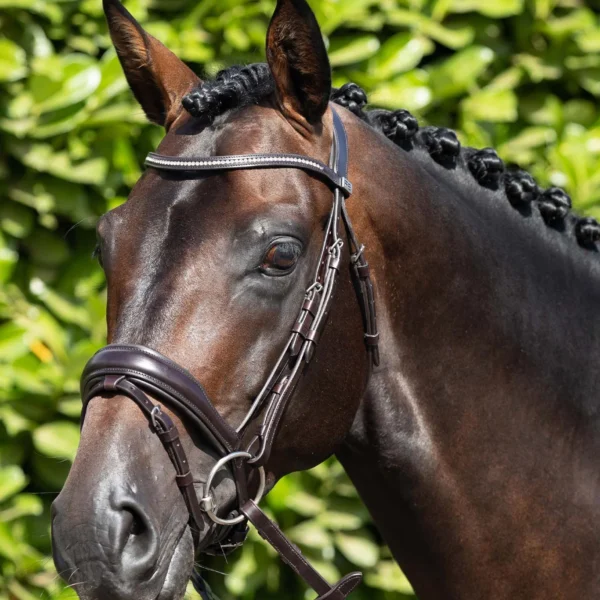 Stellazio Anatomic Snaffle Bridle with Flash