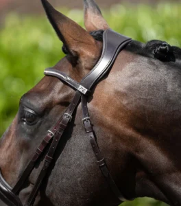 Stellazio Anatomic Snaffle Bridle with Flash - Image 11