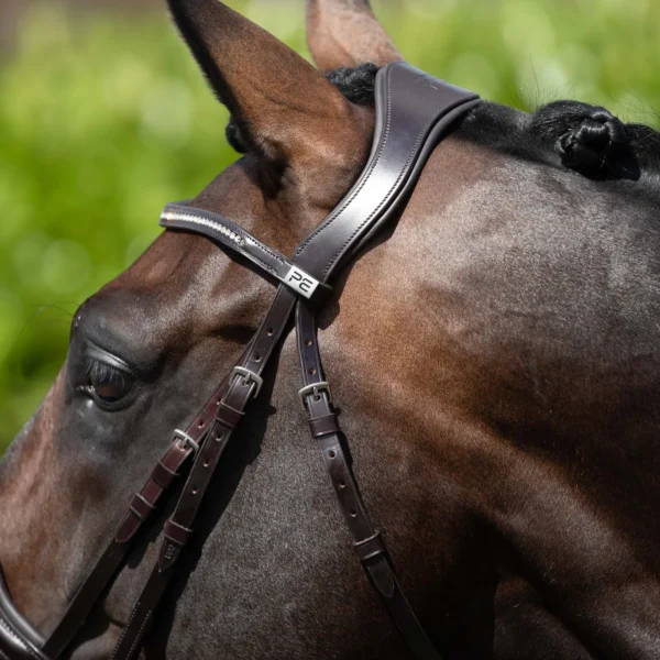 Premier Equine Anatomical Shaped Headpiece Black/Brown
