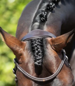 Stellazio Anatomic Snaffle Bridle with Flash - Image 12