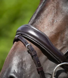 Stellazio Anatomic Snaffle Bridle with Flash - Image 13