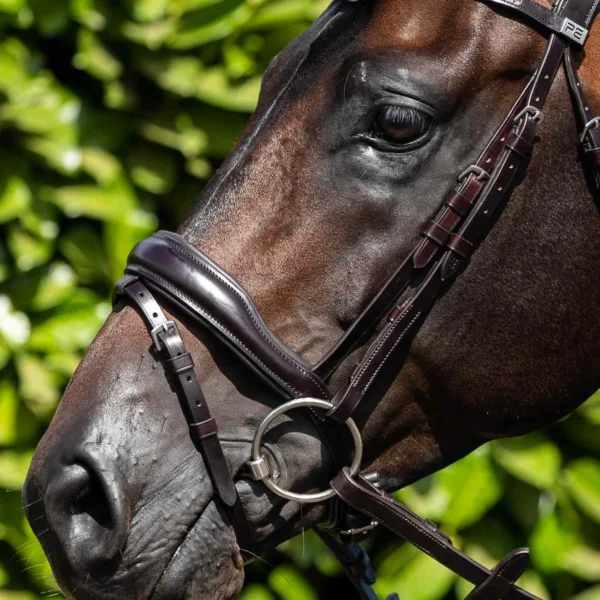 Premier Equine Cheek Pieces (Pair) Black/Brown