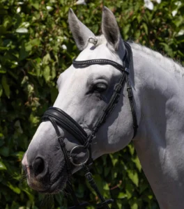 Veneto Anatomical Snaffle Bridle Black/Brown - Image 2